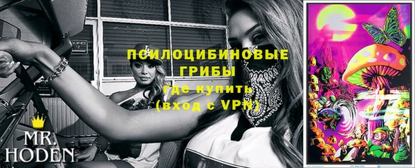 ПСИЛОЦИБИНОВЫЕ ГРИБЫ Беломорск