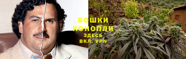 ПСИЛОЦИБИНОВЫЕ ГРИБЫ Беломорск