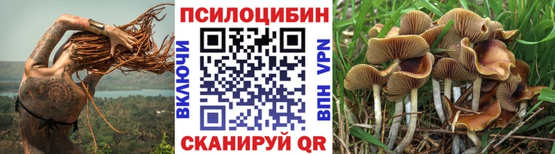 нарко площадка наркотические препараты  Гусев  Псилоцибиновые грибы мухоморы 